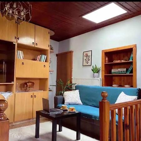 The Traditional Greek House Ioannina Extérieur photo