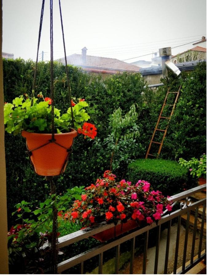 The Traditional Greek House Ioannina Extérieur photo