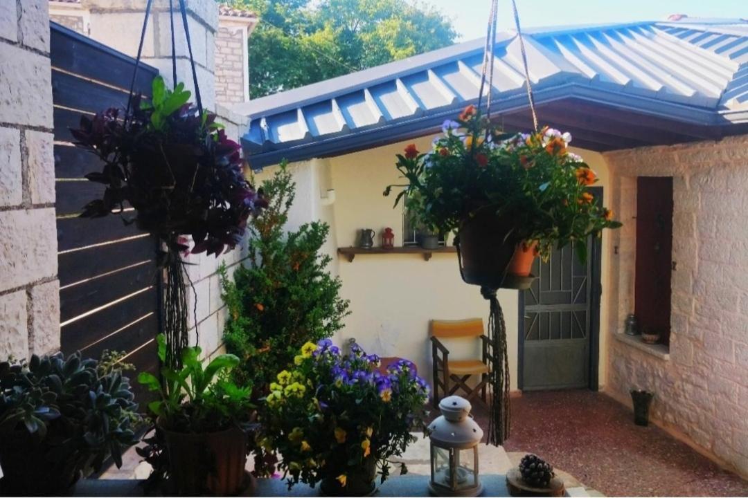 The Traditional Greek House Ioannina Extérieur photo