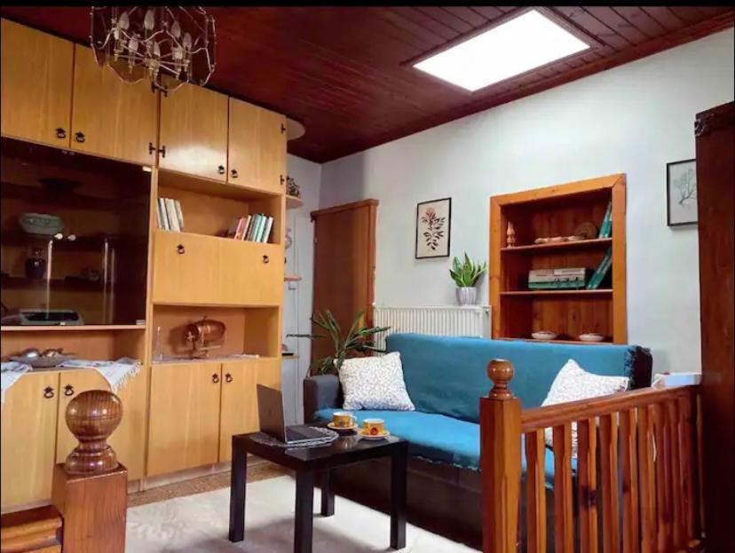 The Traditional Greek House Ioannina Extérieur photo